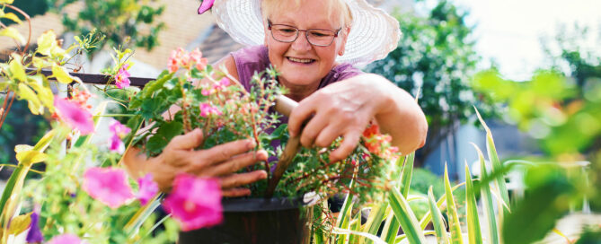 senior woman gardening